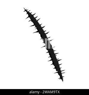 One black trace of monster claw on white baclground. hand scratch ,rip through,break through with shadow and light. Vector illustration. Stock Vector