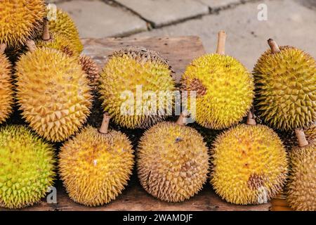 round ripe yellow durian fruits folded in pile on wooden counter for sale. Traditional fruit of Sri Lanka Stock Photo