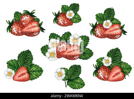 Watercolor strawberry set with red and green berries, leaves and flowers isolated on white background, hand painted watercolor illustration. Stock Photo