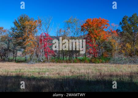 Autumn in Cades Cove, Great Smoky Mountains National Park Stock Photo
