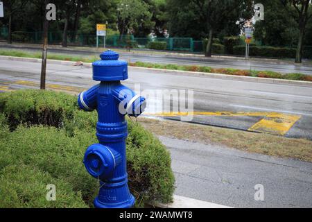 Blue metal fire hydrant on city street Stock Photo