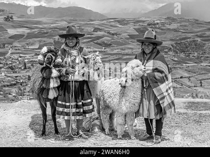 Rural portrait of Peruvian Quechua Indigenous women in traditional clothing with domestic animals, two llama and one alpaca in Cusco, Peru. Stock Photo