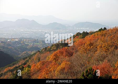 View of the surrounding countryside from Mishima Sky Walk in Shizuoka Prefecture, Japan Stock Photo