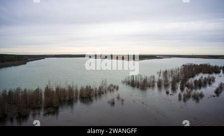 Bird's eye view on Sedlitzer See. The surroundings of Senftenberg. Germany. Federal state of Brandenburg. Stock Photo