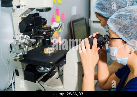 Doctor using IVF micromanipulator with Petri Dish on it for insemination of the egg in the laboratory of the in vitro fertilization. Stock Photo