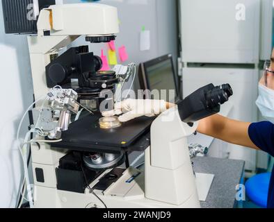 Doctor using IVF micromanipulator with Petri Dish on it for insemination of the egg in the laboratory of the in vitro fertilization. Stock Photo