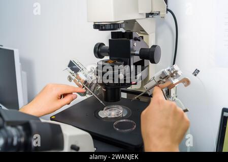 Doctor using IVF micromanipulator with Petri Dish on it for insemination of the egg in the laboratory of the in vitro fertilization. Stock Photo