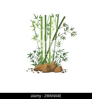 Bamboo tree leaf vector illustration , plant stem and stick. Bamboo green and brown decoration elements Stock Vector