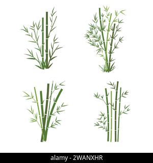 Bamboo tree leaf vector illustration , plant stem and stick. Bamboo green and brown decoration elements Stock Vector