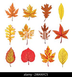 A collection of fallen autumn leaves of different shapes and colors. Autumn background, a poster with colorful leaves. Seasonal autumn elements for cr Stock Vector