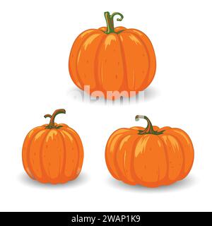 Fresh orange pumpkin isolated on white vector. Orange autumn food fresh pumpkin vegetable holiday decoration. Stock Vector