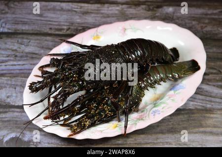 Raw uncooked fresh lobster, Lobsters are a family Nephropidae, Homaridae of marine crustaceans, with long bodies and muscular tails and live on the se Stock Photo