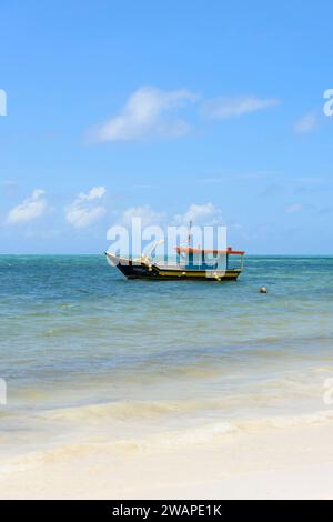 Fishing boats moored off Grand Anse beach on Praslin Island, Seychelles, Indian Ocean Stock Photo