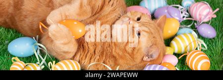 A funny ginger cat sleeping on back on artificial turf with colored Easter eggs. Horizontal banner Stock Photo