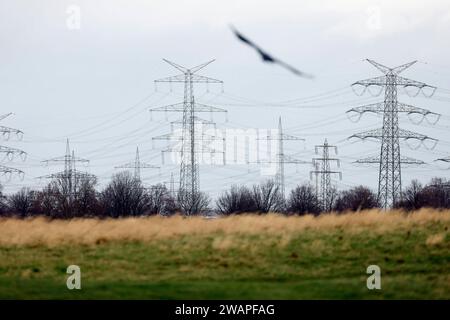 Strommasten stehen auf einem Feld bei Königsdorf. Themenbild, Symbolbild Frechen, 04.01.2024 NRW Deutschland *** Electricity pylons in a field near Königsdorf Themed image, symbolic image Frechen, 04 01 2024 NRW Germany Copyright: xChristophxHardtx Stock Photo