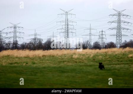 Strommasten stehen auf einem Feld bei Königsdorf. Themenbild, Symbolbild Frechen, 04.01.2024 NRW Deutschland *** Electricity pylons in a field near Königsdorf Themed image, symbolic image Frechen, 04 01 2024 NRW Germany Copyright: xChristophxHardtx Stock Photo