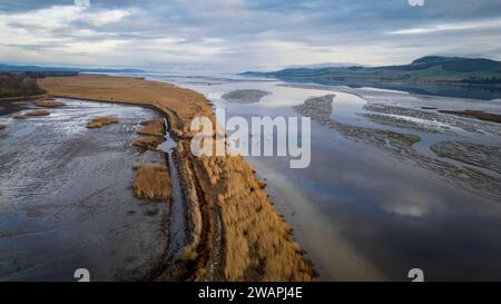 Aerial View Of The Reedbeds On The Northern Shore Of The River Tay aerial-view-of-the-reedbeds-on-the-northern-shore-of-the-river-tay