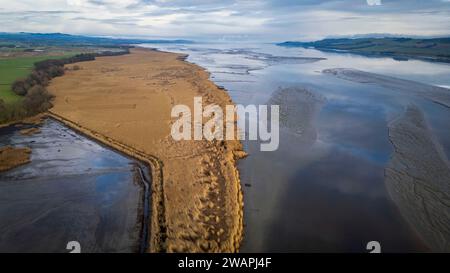 Aerial View Of The Reedbeds On The Northern Shore Of The River Tay aerial-view-of-the-reedbeds-on-the-northern-shore-of-the-river-tay