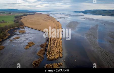 Aerial View Of The Reedbeds On The Northern Shore Of The River Tay aerial-view-of-the-reedbeds-on-the-northern-shore-of-the-river-tay