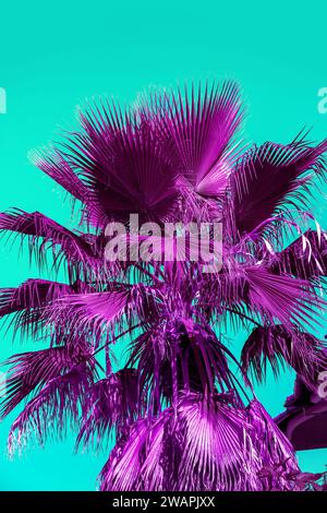 Purple palm leaves on a turquoise background. Tropical nature background Stock Photo