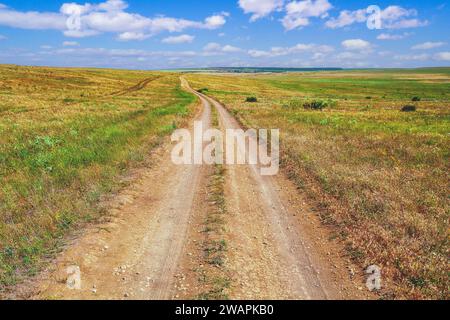 Endless dirt road in the steppe in summer Stock Photo