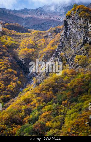 Colorful autumn transforms the mountain world, creating breathtaking ...