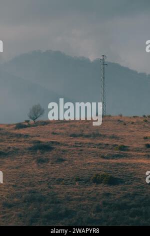 Orange grassy hill with a small tree and electrical pole with beautiful moody background. Stock Photo