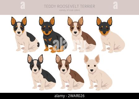 Teddy Roosevelt terrier puppies clipart. Different poses, coat colors set.  Vector illustration Stock Vector