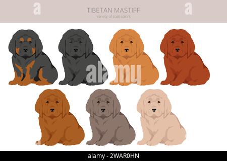 Tibetan mastiff puppies clipart. Different poses, coat colors set.  Vector illustration Stock Vector