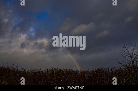 Double rainbow over a hedge in a gray-blue cloudy sky Stock Photo