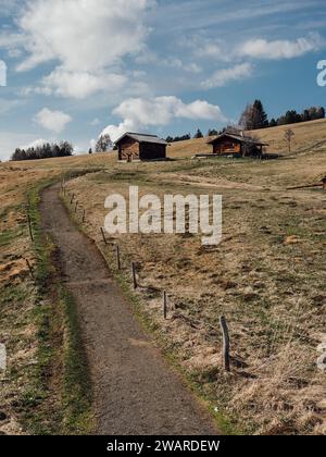 A winding dirt path running through an open grassy field, lined with quaint and cozy homes Stock Photo