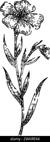 flower flax sketch hand drawn vector Stock Vector Image & Art - Alamy