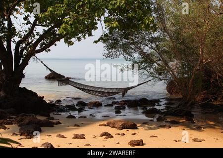 A hammock is tied between two palm trees on a sun-drenched sandy beach, creating a relaxing outdoor setting for a summer day Stock Photo