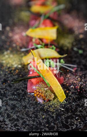 An array of fresh, nutritious food featuring grilled meats and assorted vegetables, arranged in a neat line on a white plate Stock Photo