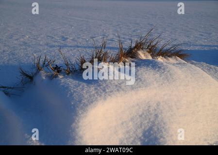 Sun shining on grass covered by snow drift. Stock Photo