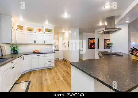 This contemporary kitchen features a white cabinet and marble countertop design that complements the wood flooring Stock Photo