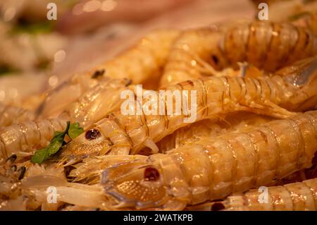 Enjoining diversity of fresh seafood on Atarazanas Central Market Stock Photo