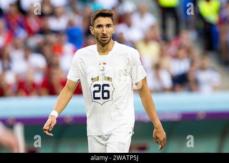 Marko Grujic of Serbia seen during the FIFA World Cup Qatar 2022 match between Cameroon and Serbia at Al Janoub Stadium. Final score: Cameroon 3:3 Serbia. Stock Photo