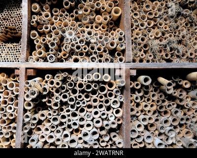 Close-up of an old abandoned bamboo beehive made to support bee populations and pollination, can be used for nesting and honey production. Stock Photo