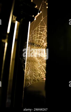 Eerily backlit spiderweb spans wrought iron fencing. High quality photo Stock Photo