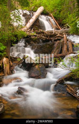 Waterfall on Torino Creek along Cliff Lake Trail, Lolo National Forest ...