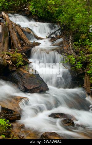 Waterfall on Torino Creek along Cliff Lake Trail, Lolo National Forest ...