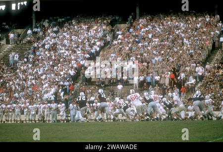 DALLAS, TX - SEPTEMBER 21: General view as #21 of the Maryland Terrapins runs with the ball during an NCAA game against the Texas A&M Aggies on September 21, 1957 at the Cotton Bowl in Dallas, Texas.  The Aggies defetead the Terrapins 21-13.  (Photo by Hy Peskin) Stock Photo