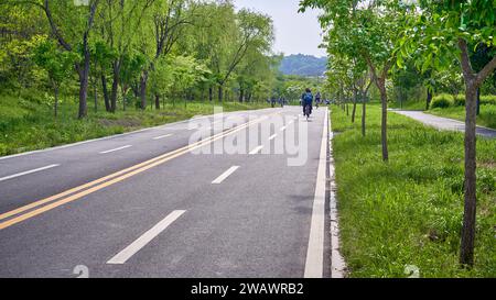 Bicycle path along Han River, Seoul, South Korea Stock Photo