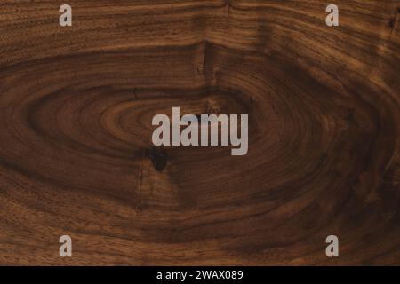 Black walnut wood texture with oil finish closeup, background photo Stock Photo