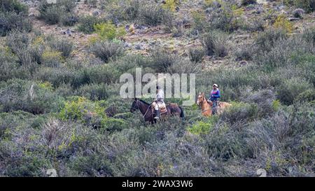 Two Gauchos on Horseback in Patagonia, Argentina Stock Photo