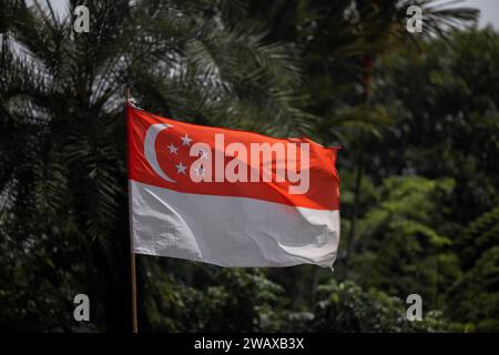 Beautiful National Flag of Singapore on Tropical greenery. Singapore flag waving Stock Photo