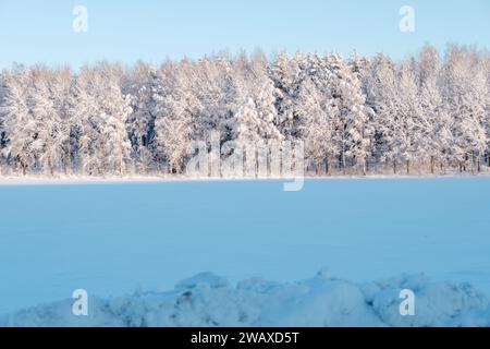 Helsinki Finland JANUARY 7 2024 A Beautiful Wintery Scene From   Helsinki Finland January 1 2024 A Beautiful Finnish Wintery Scene A Snow Covered Pasture With A Forest In The Background 2waxd5t 