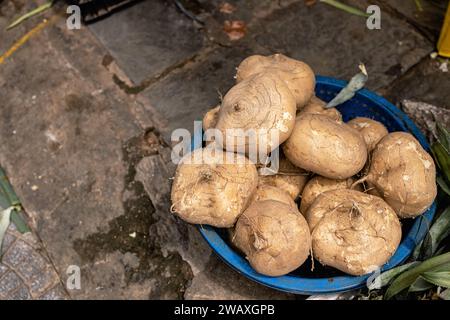 Harvested jicama vegetables ready for sale in market Stock Photo