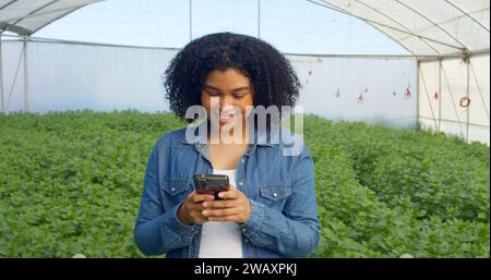 Multi-ethnic woman farmer uses cellphone, texting in greenhouse, organic herbs Stock Photo